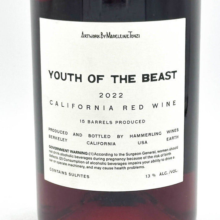 A close-up of a dark wine bottle label reading 'YOUTH OF THE BEAST 2022 CALIFORNIA RED WINE' with smaller text including 'Produced and bottled by Hammerling Wines' and 'Berkeley California USA.'.