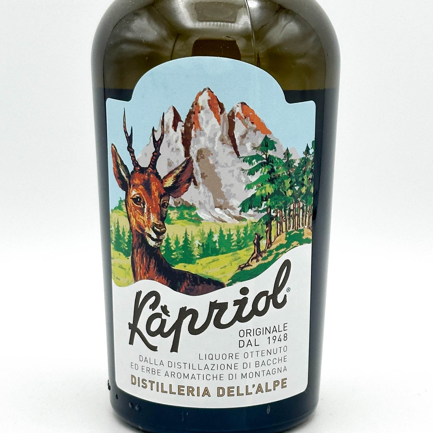 Piccone Manicato Kapriol - Peso 1700 G | Attrezzo Da Lavoro Robustoper Scavo E Giardinaggio - Foto 2